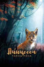 Линцесса. Тайны леса смотреть онлайн